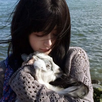 花心梦里人